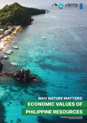 Apo Island Protected Landscape and Seascape, Negro Oriental