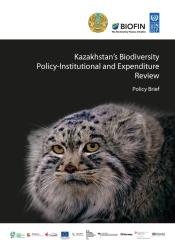 PIR and BER Policy Brief