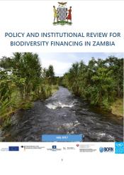 Policy and Institutional Review (PIR) – Biodiversity Finance in Zambia