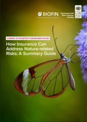 How Insurance Can Address Nature-related Risks: A Summary Guide