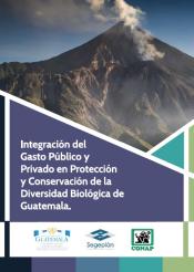 guatemala ber integration