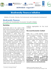 Biofin Belize Environmental Brief