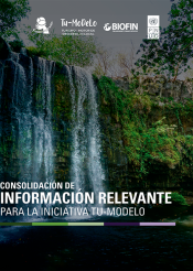 Documento de Trabajo: Consolidación de Información relevante para la Iniciativa Tu-Modelo