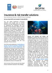 Insurance & risk transfer solutions