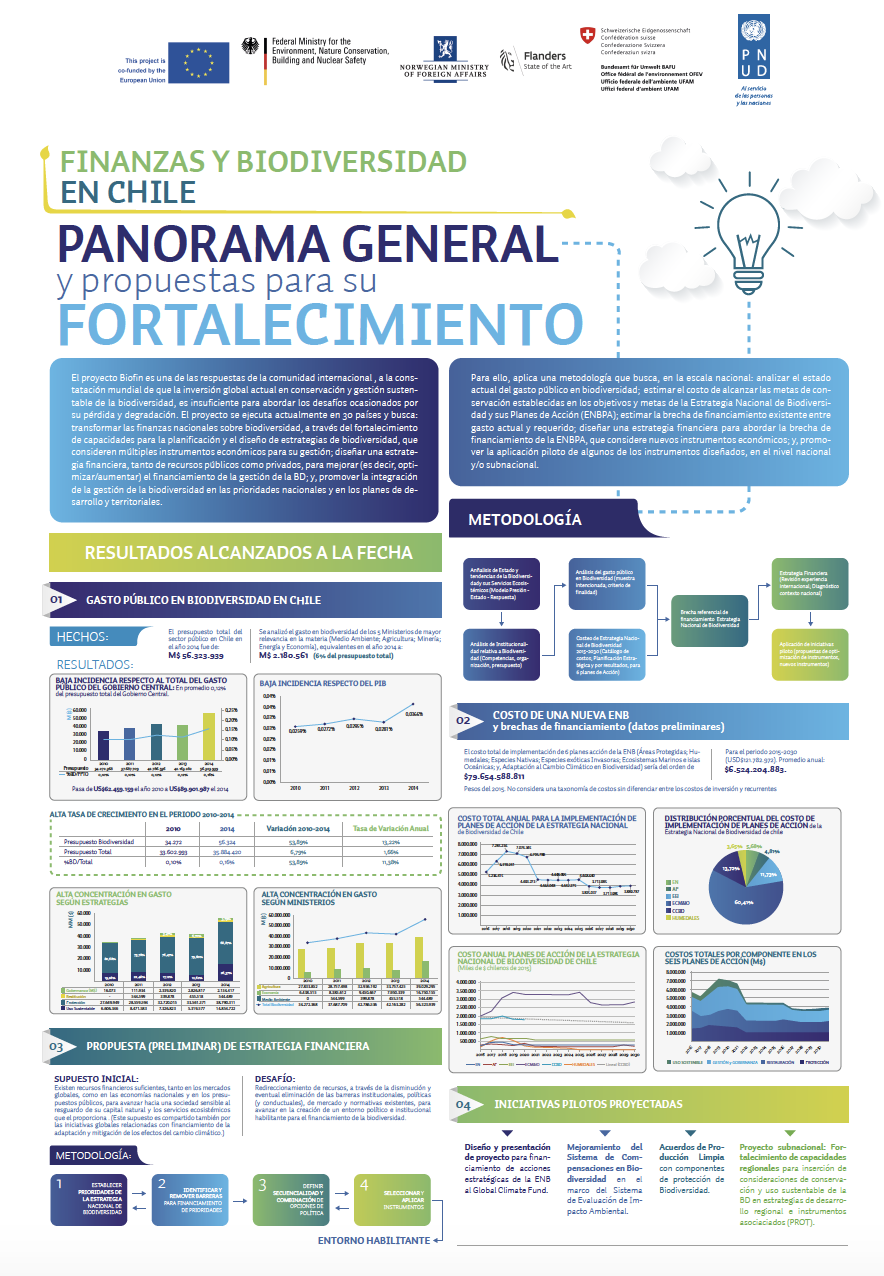 Chile Poster: Biodiversity Finance – Overview and Proposals for Strengthening
