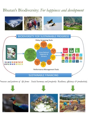 BIOFIN poster for global workshop and inception