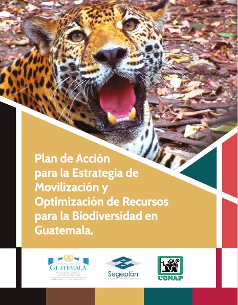 Plan de Acción para la Estrategia de Movilización y Optimización de Recursos para la Biodiversidad en Guatemala.