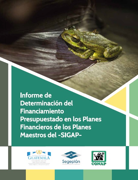Informe de Determinación del Financiamiento Presupuestado en los Planes Financieros de los Planes Maestros del -SIGAP