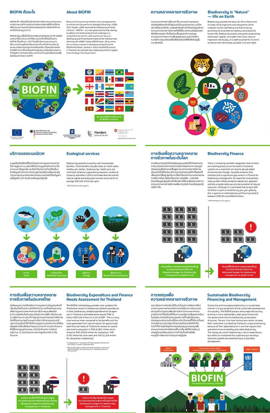 Thailand BIOFIN Day Poster