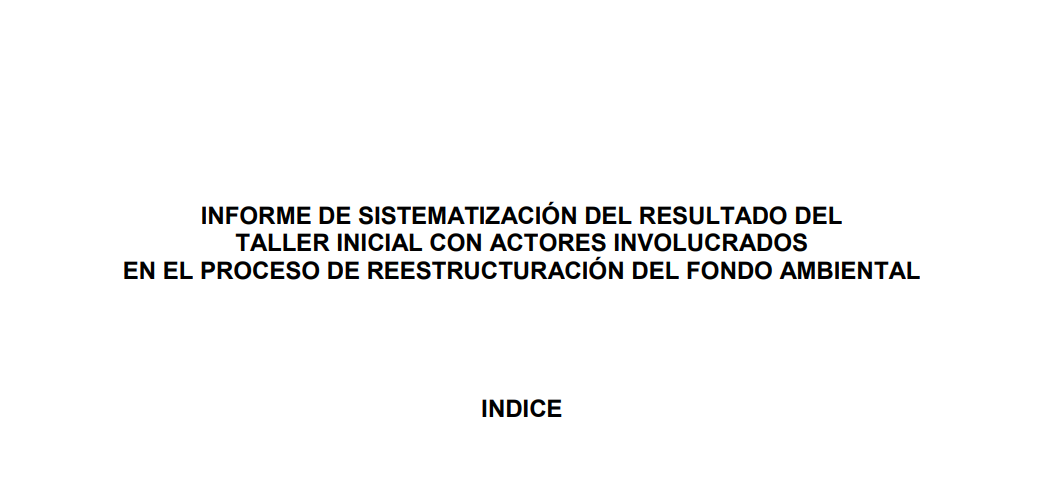 INFORME DE SISTEMATIZACIÓN DEL RESULTADO DEL TALLER INICIAL CON ACTORES INVOLUCRADOS EN EL PROCESO DE REESTRUCTURACIÓN DEL FONDO AMBIENTAL