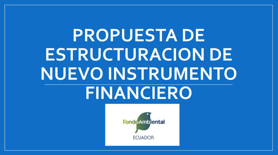 PROPUESTA DE ESTRUCTURACION DE NUEVO INSTRUMENTO FINANCIERO