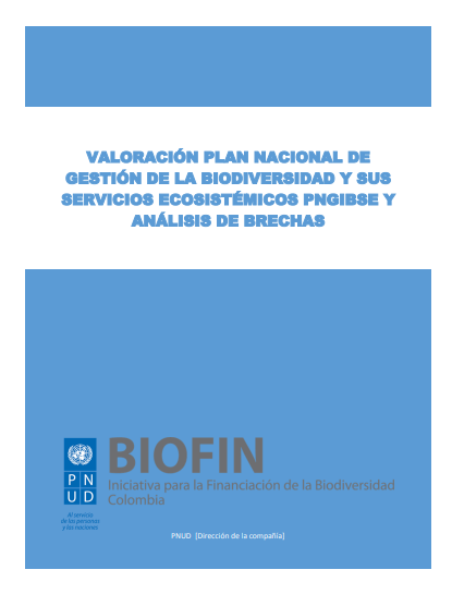 Valoración Plan de Acción Análisis de Brechas Ajustado 2017