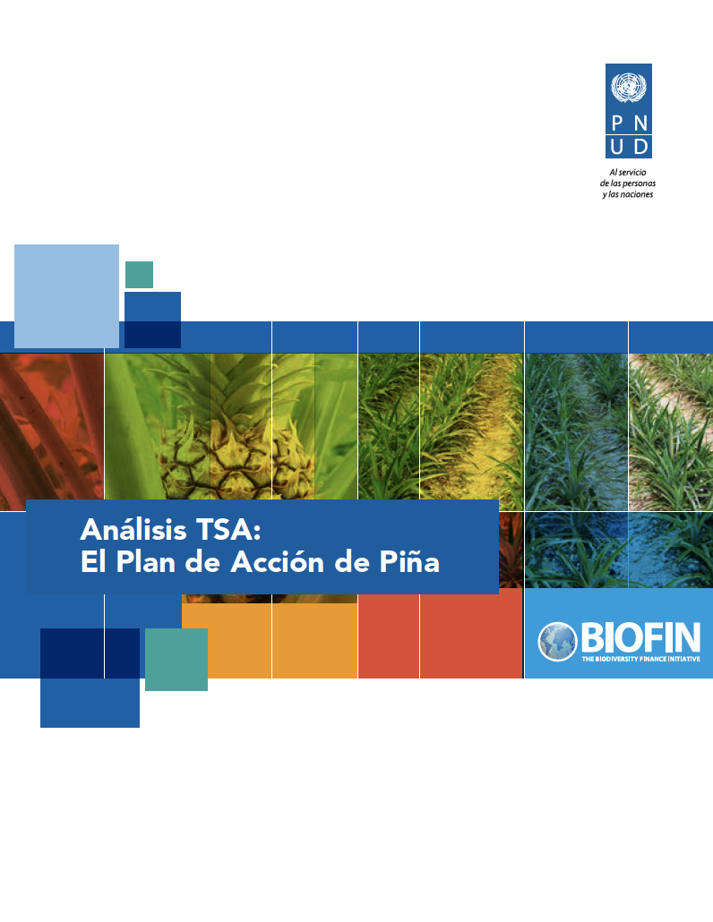 Costa Rica – Análisis TSA: El Plan de Acción de Piña
