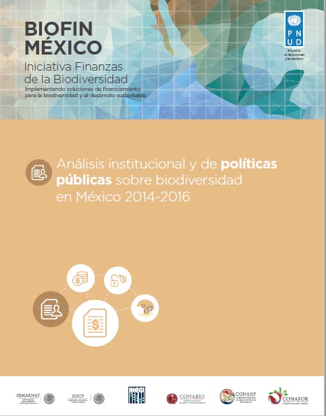 Mexico’s PIR (spanish)
