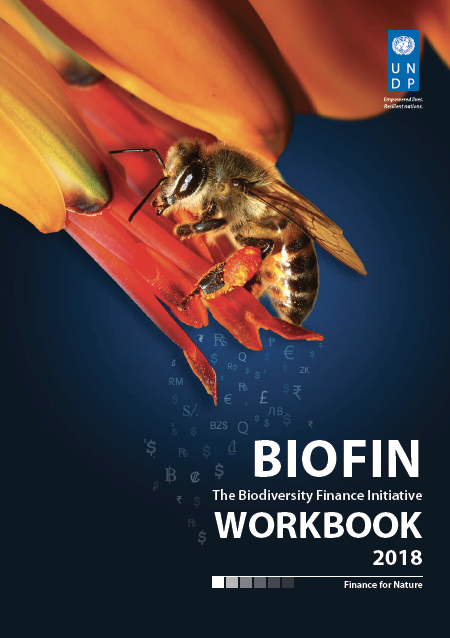 BIOFIN 2018 Workbook