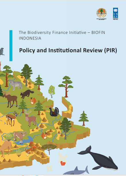 Indonesia’s Policy and Institutional Review (PIR)