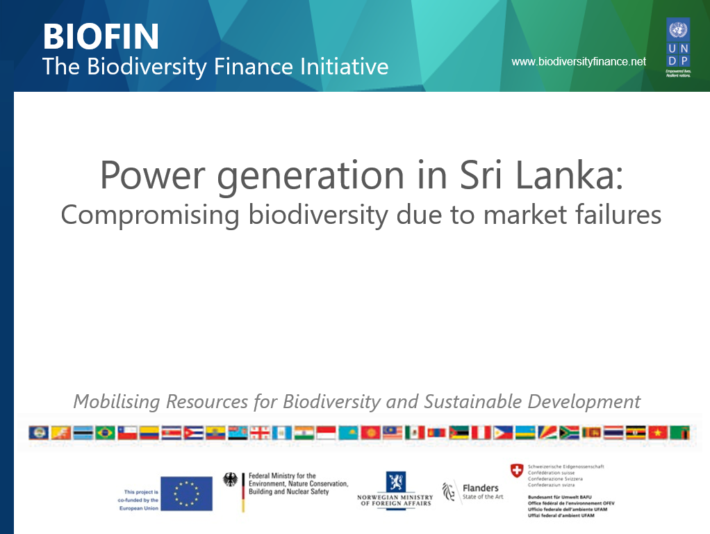 Power generation options related issues in Sri Lanka