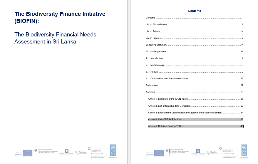 Financial Needs Assessment