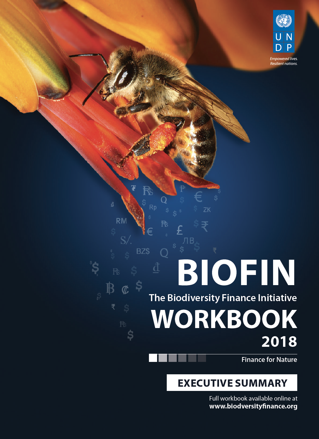 Executive Summary: BIOFIN Workbook 2018