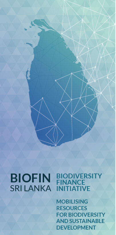 Summary of the BIOFIN progress as of October 2018