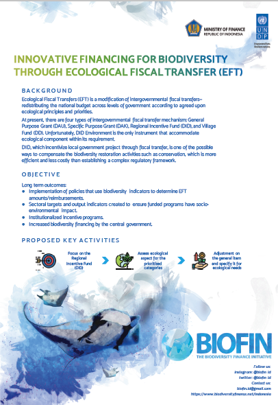 Indonesia’s Ecological Fiscal Transfers