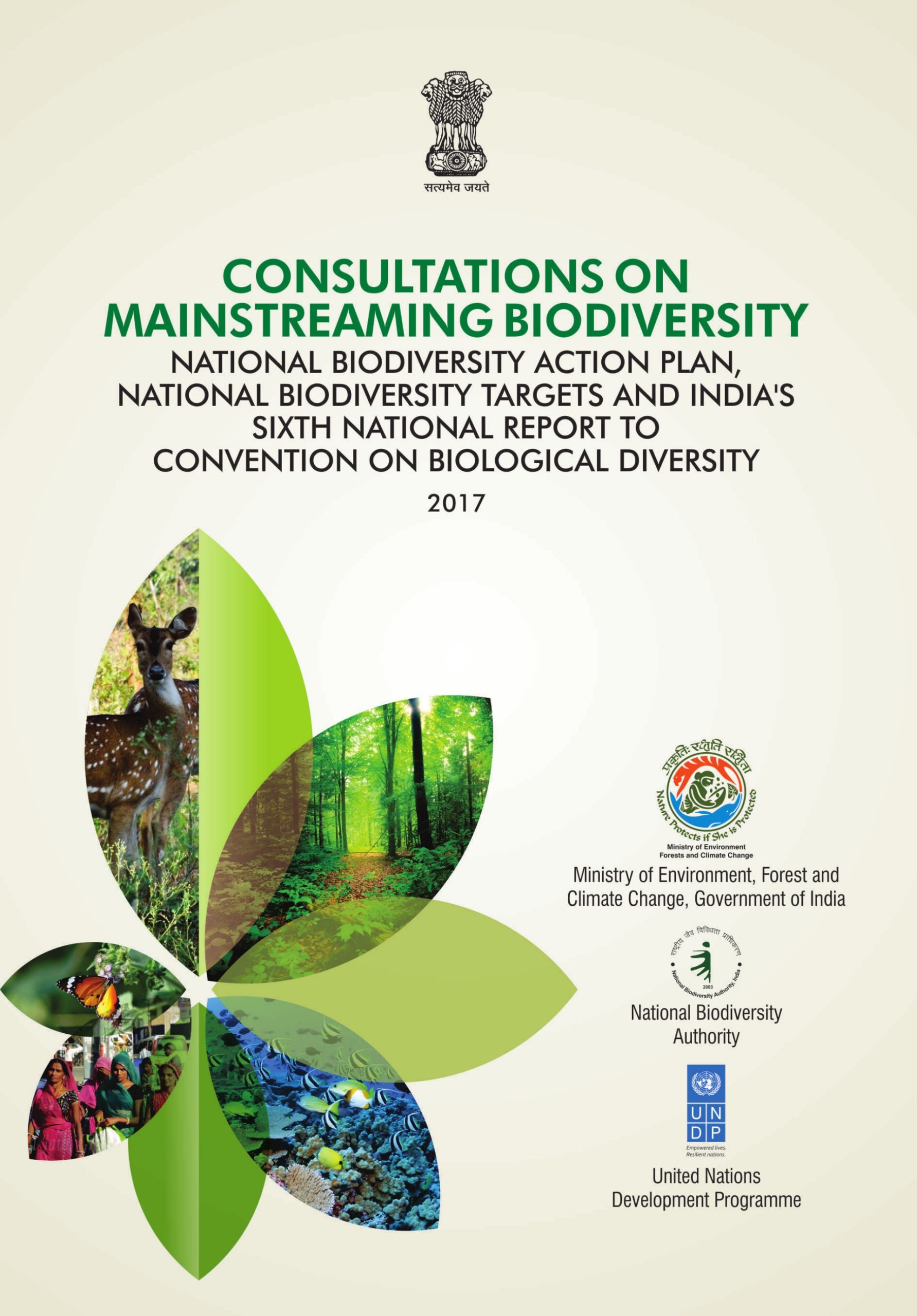 Consultations on mainstreaming biodiversity