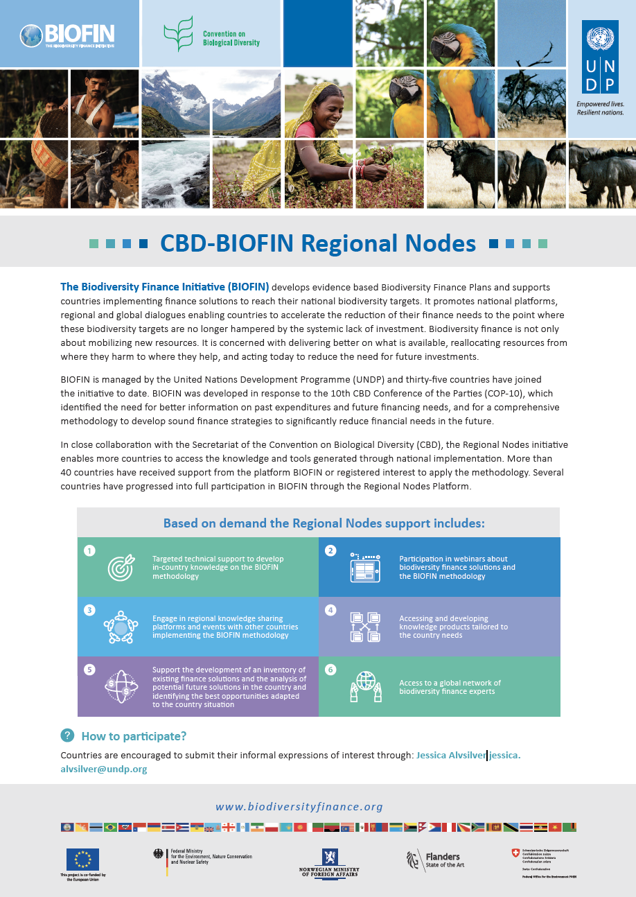 Regional Nodes Brochure