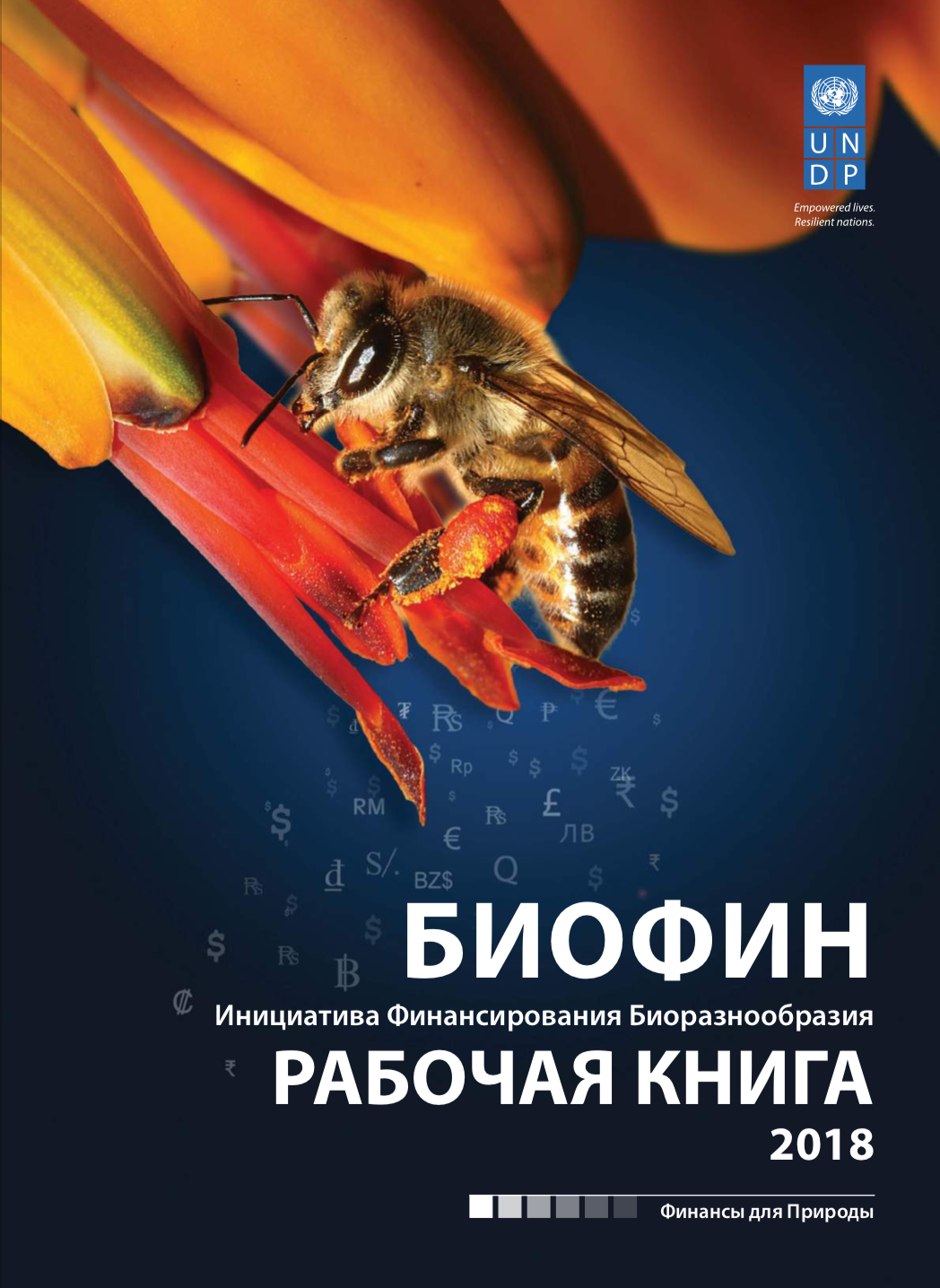 2018 BIOFIN Workbook (Russian)