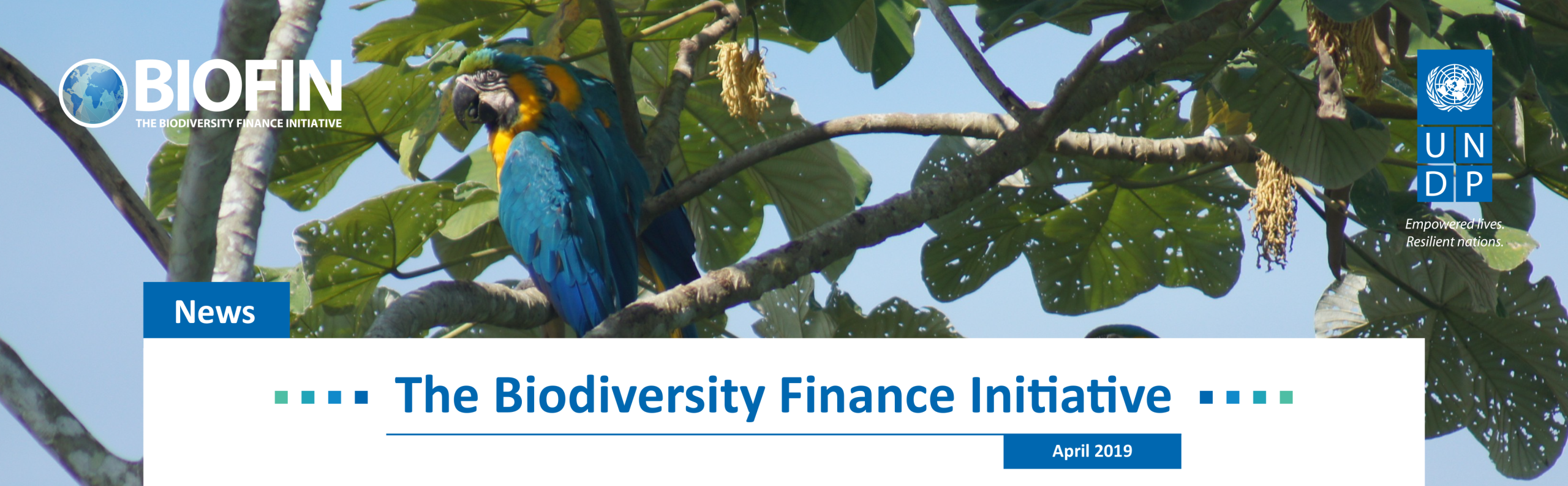 BIOFIN News // July 2019 Newsletter
