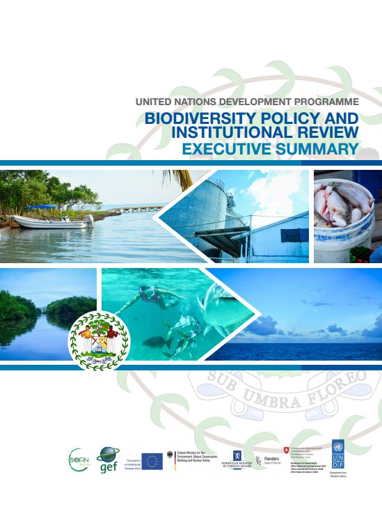 Policy and Institutional Review Belize