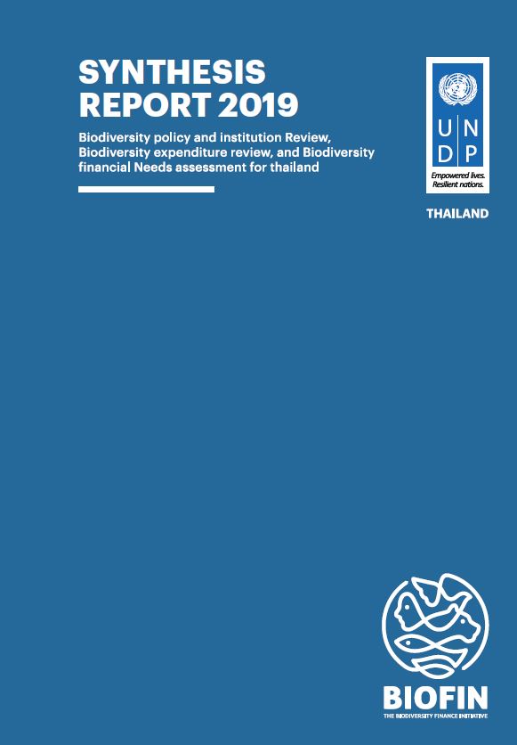 Synthesis Report – Thailand: PIR, BER, FNA