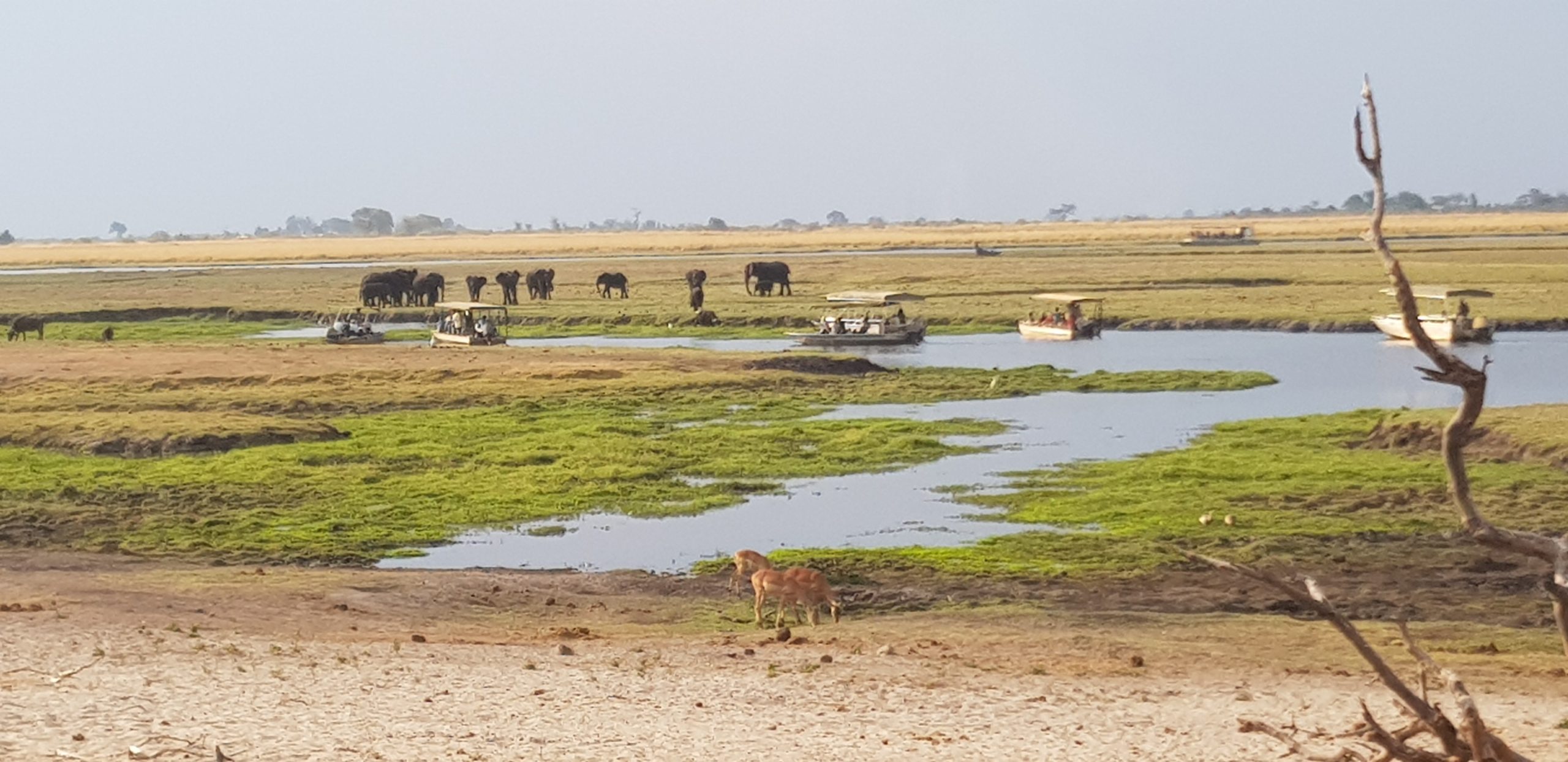 Botswana Protected Areas fee Review