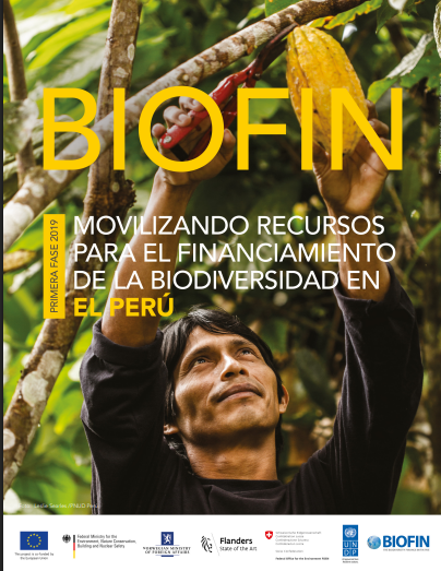 BIOFIN Peru – Sintesis Fase I