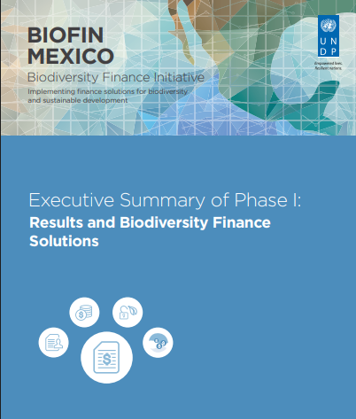 Executive Summary of Phase I: Results and Biodiversity Finance Solutions