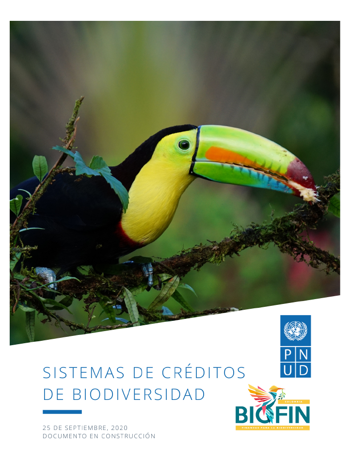 Sistemas de Crédito de Biodiversidad: un instrumento para acelarar compensaciones ambientales.