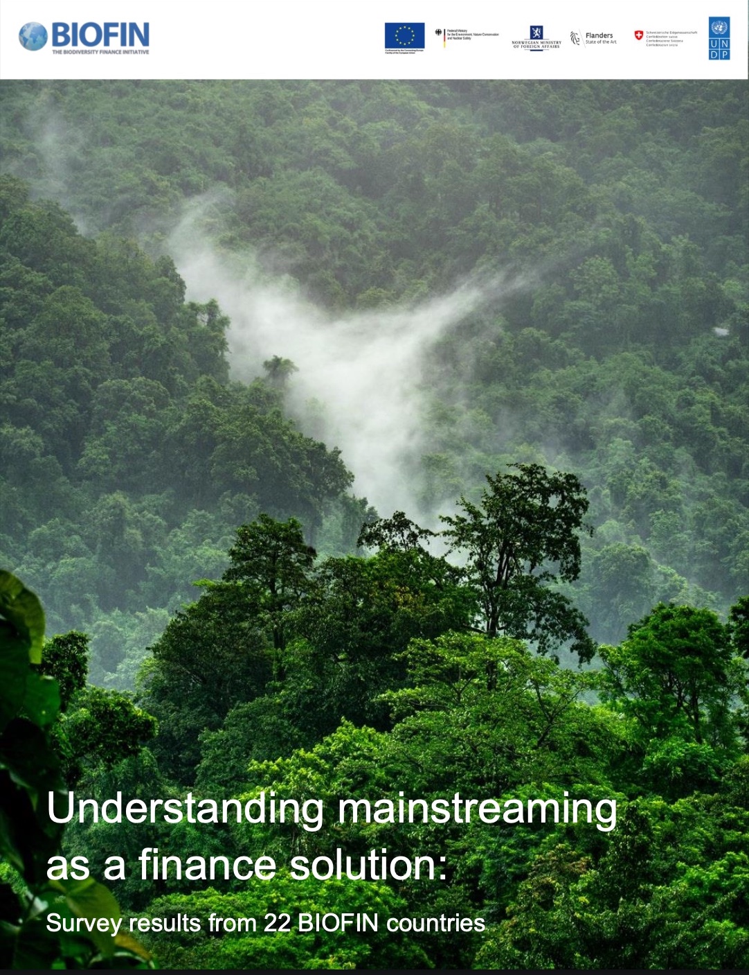 Understanding mainstreaming as a finance solution:  Survey results from 22 BIOFIN countries