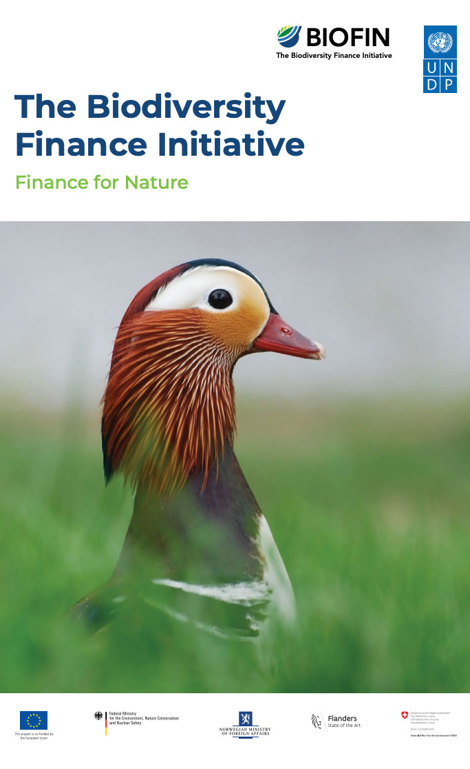 BIOFIN Brochure