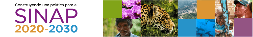 Policy for the consolidation of the National System of Protected Areas – SINAP
