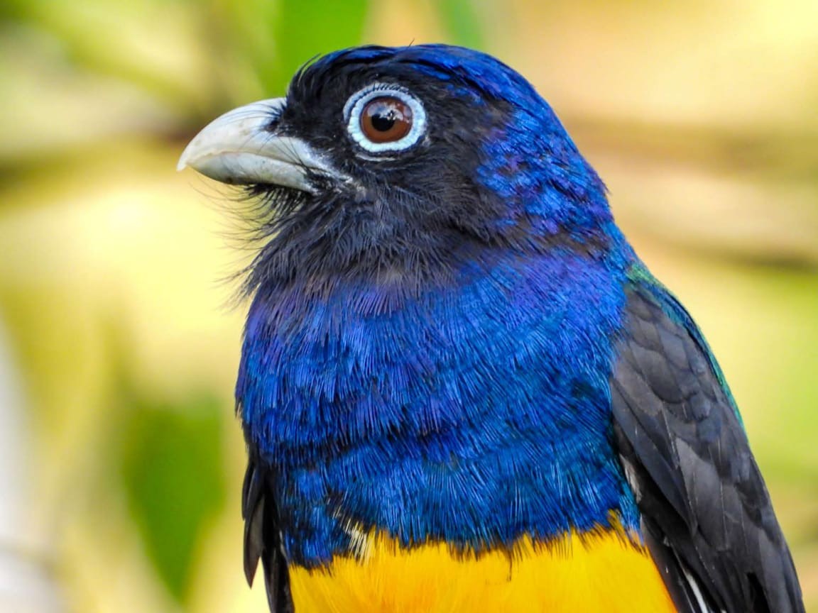 Report on Public Expenditure on Biodiversity of Colombia 2020