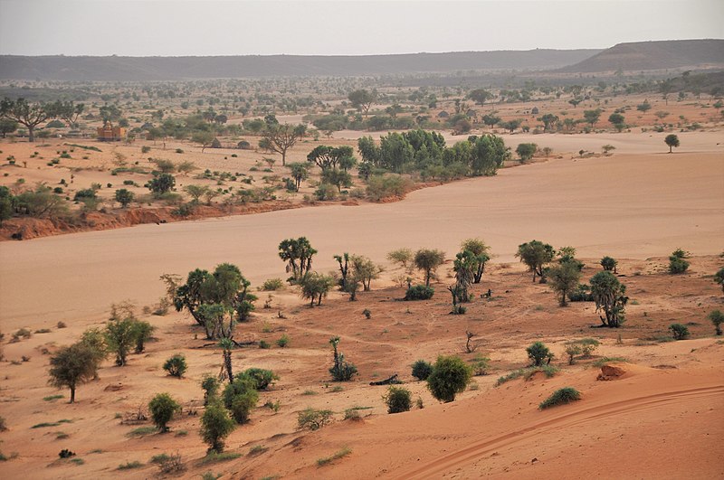 Niger becomes the 41st country to join BIOFIN