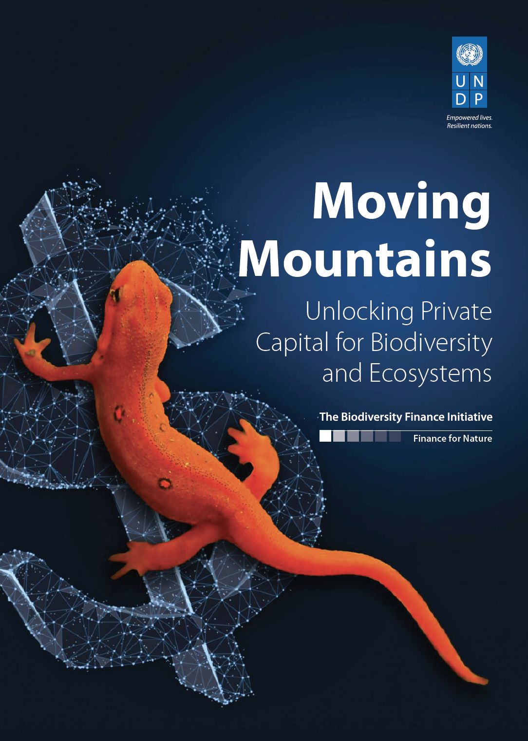 Moving Mountains – Unlocking Private Capital for Biodiversity and Ecosystems