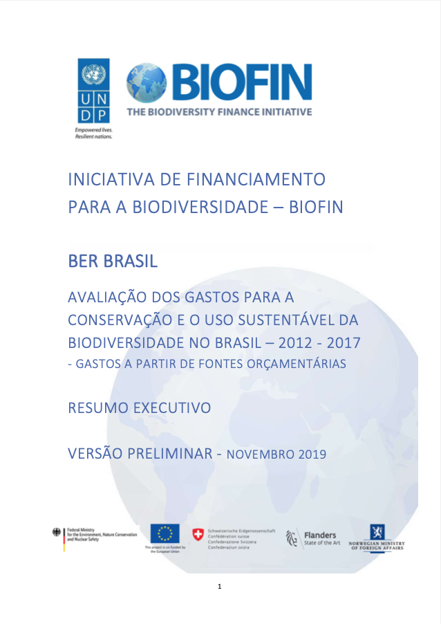 Avaliação dos gastos para a conservação e o uso sustentável da biodiversidade no Brasil – 2012 a 2017: gastos a partir de fontes orçamentários – Resumo executivo