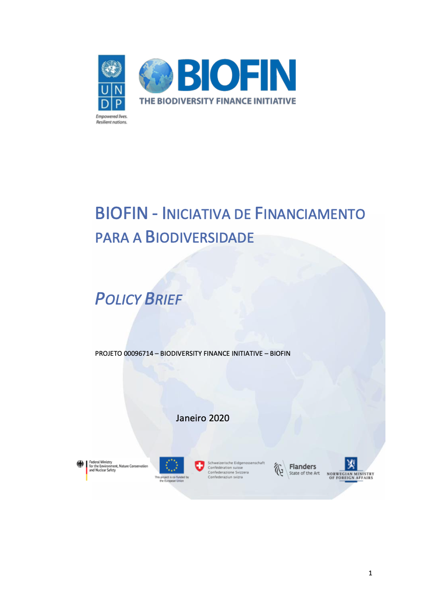 Plano de Mobilização de Recursos para a Biodiversidade – Panorama sobre as soluções de financiamento no Brasil