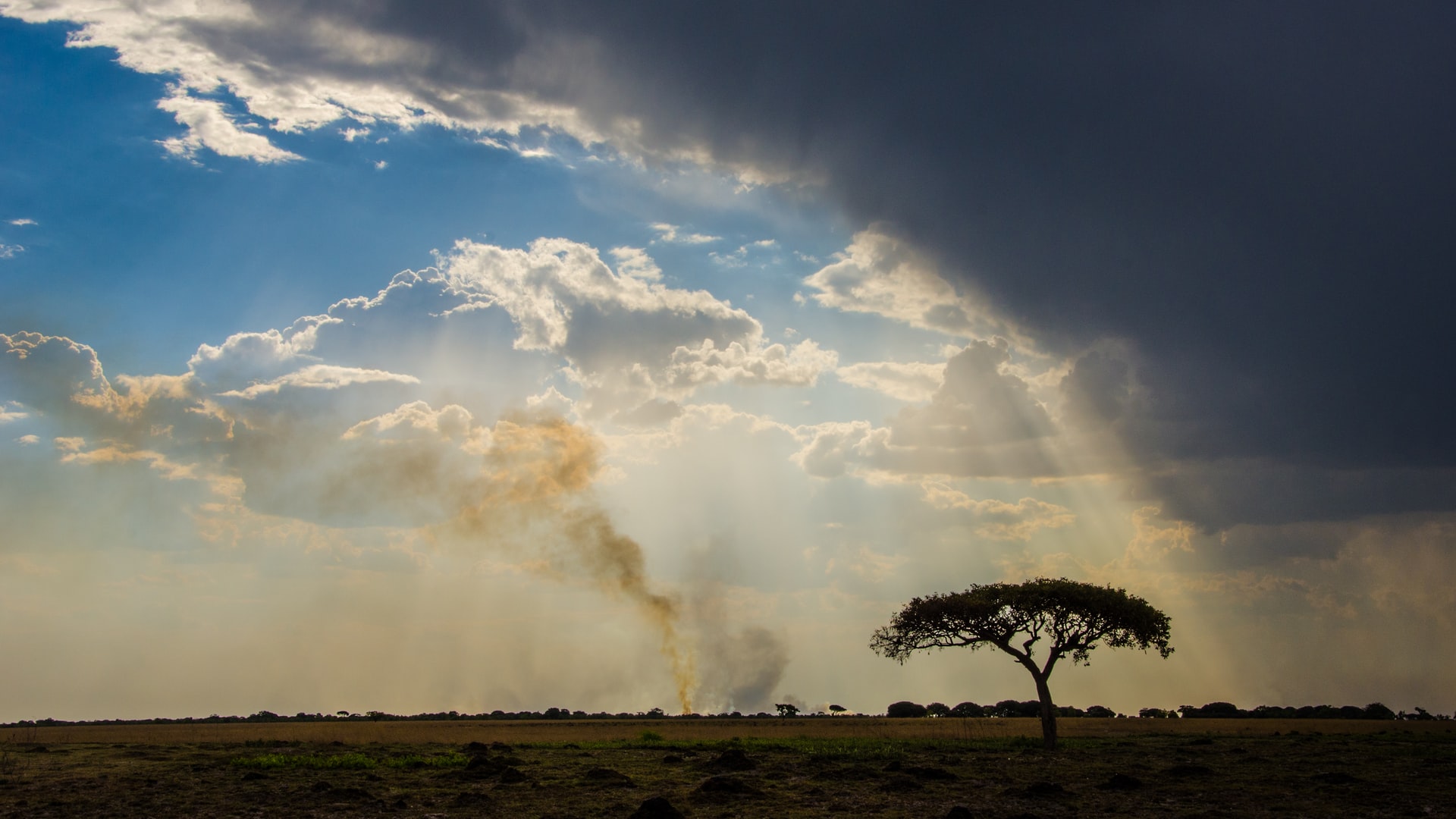 Zambia Reduces Minimum Investment Threshold to Attract Incentives for Local Green Investments