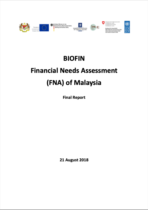 Financial Needs Assessment – Malaysia