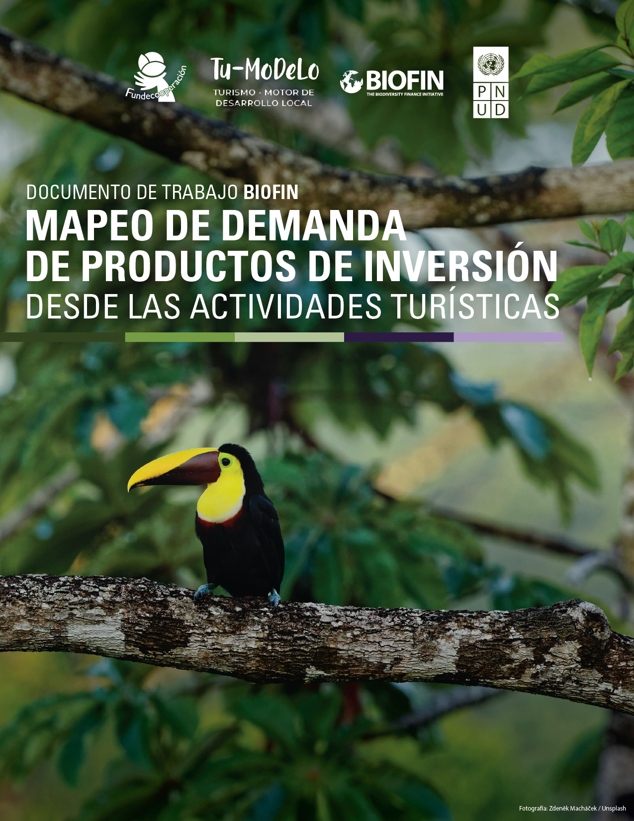 Documento de Trabajo: Mapeo de demanda de productos y necesidades de inversión desde las actividades turísticas