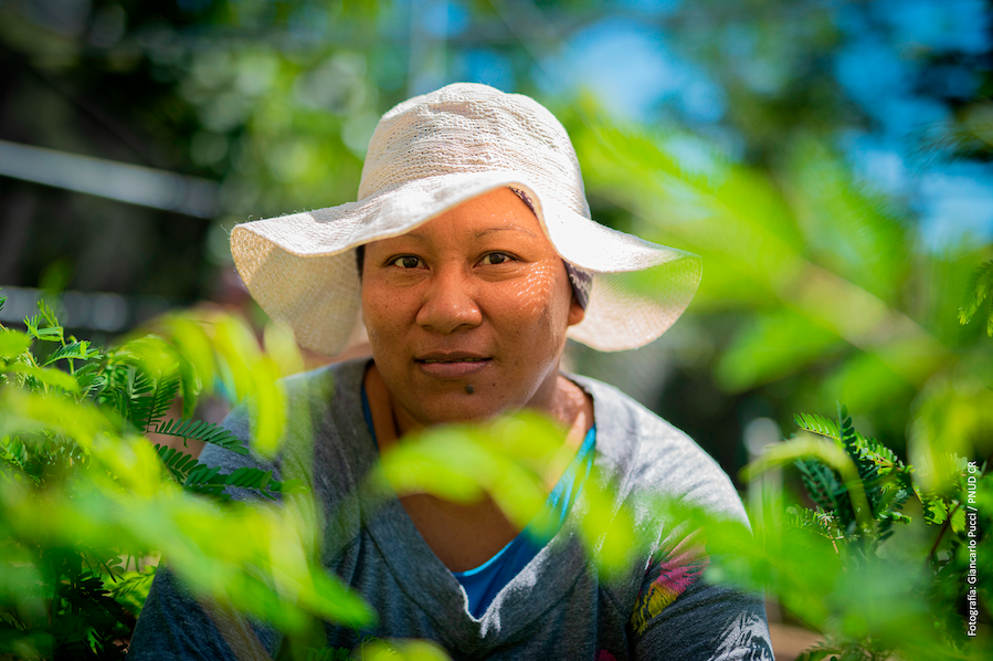 Thinking outside the box to change biodiversity finance in Costa Rica