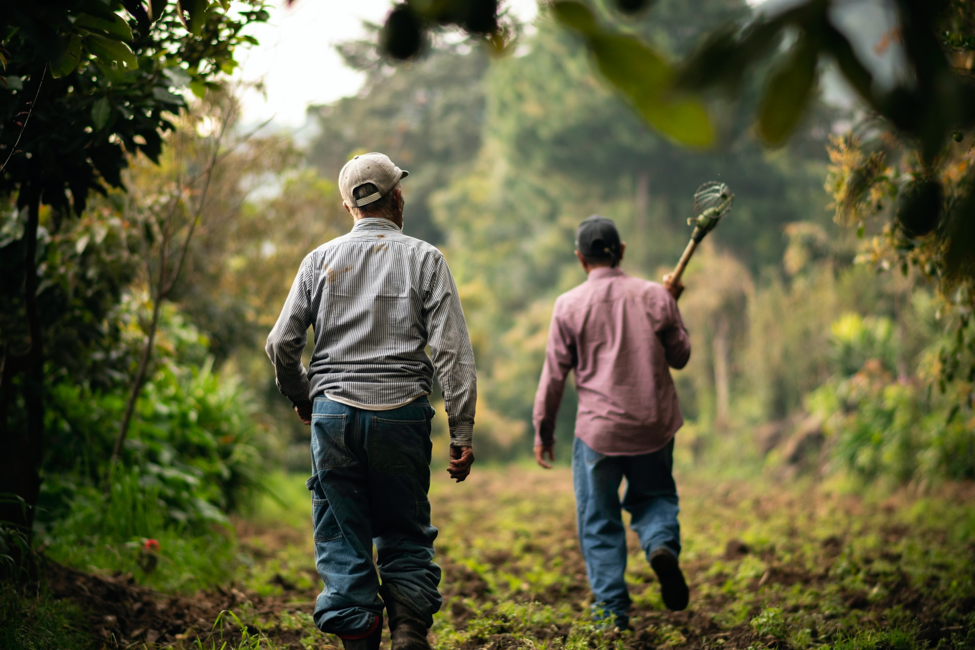 Mexico’s Bioeconomy Acceleration Fund announces the winners of the second call