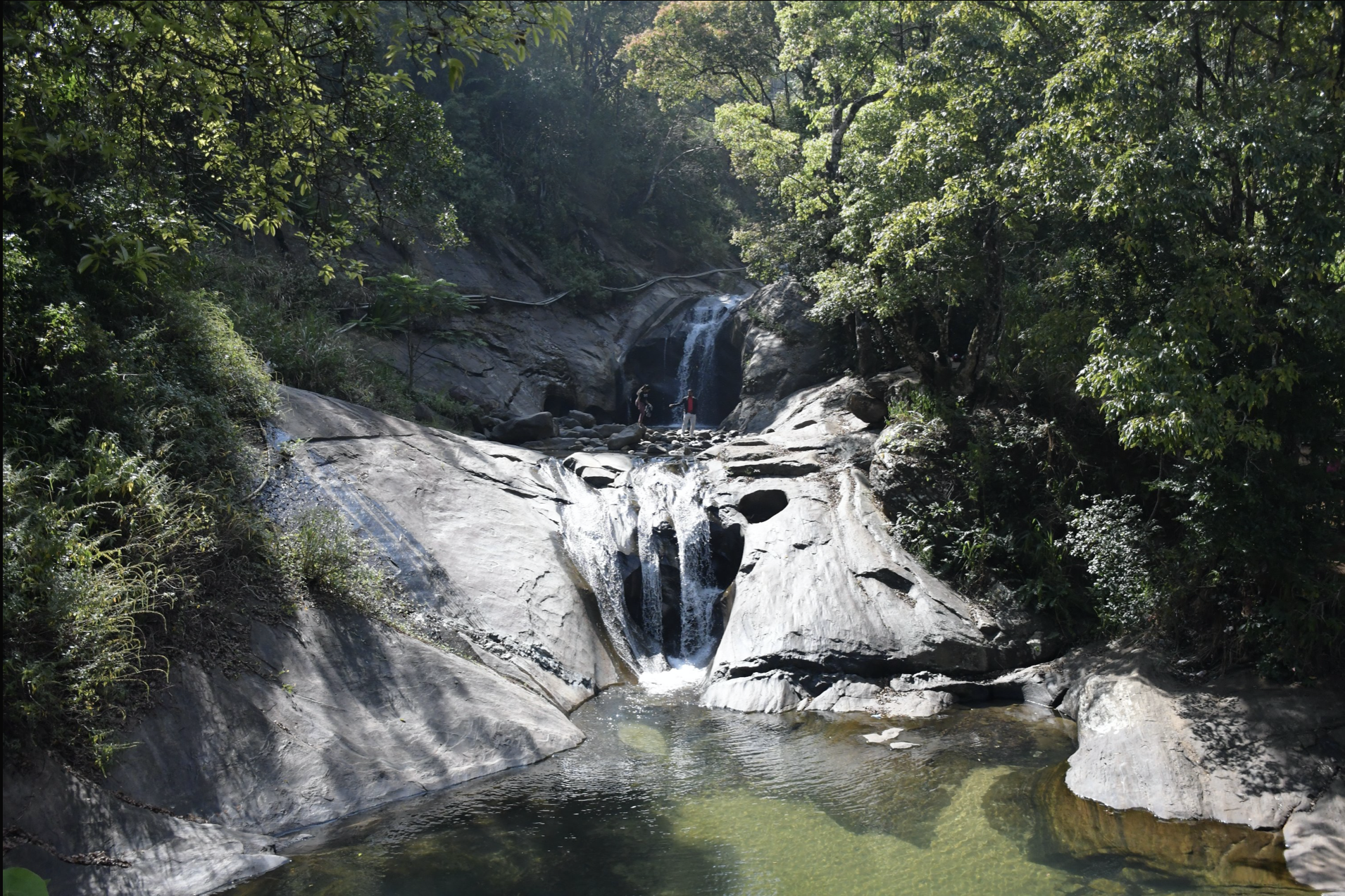 A win for nature: Investments across the island for biodiversity improvements