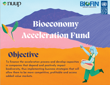 Infographic Bioeconomy Acceleration Fund